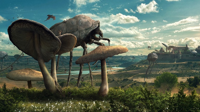 insect, The Elder Scrolls III Morrowind, coexist, nature, Parasite, science fiction