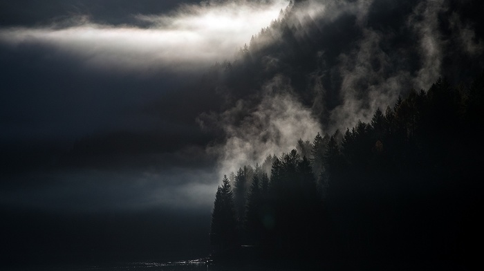 mist, trees, landscape, lake