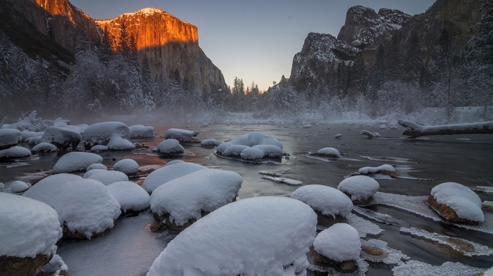 snow, trees, landscape, Yosemite National Park, winter