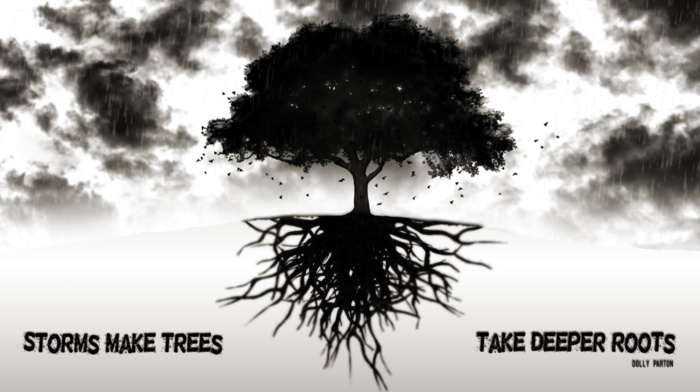roots, storm, quote, trees