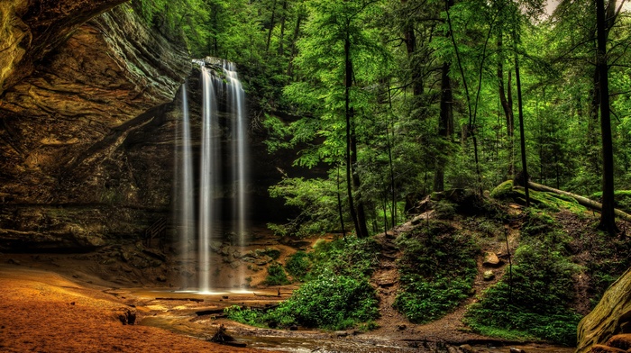 trees, waterfall