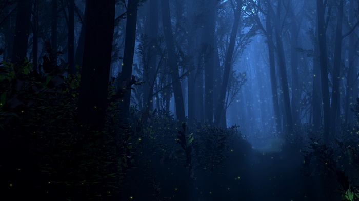 dark, Mystery, forest