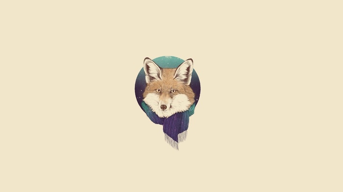 fox, minimalism