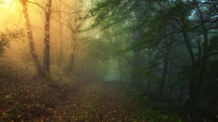 nature