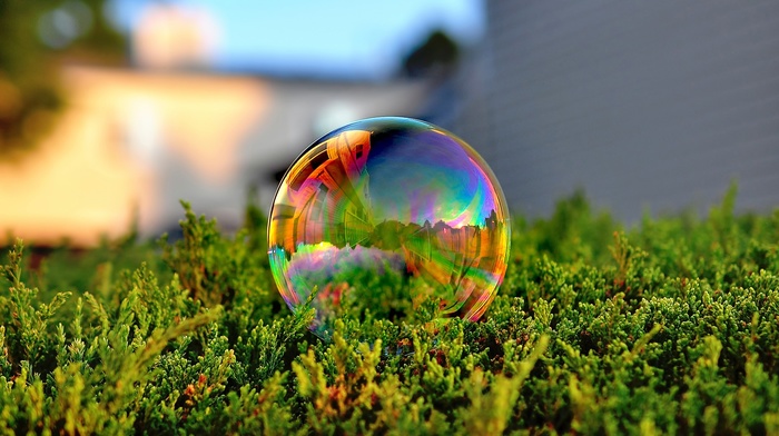 bubbles, nature