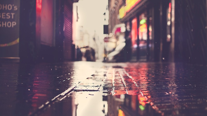 puddle, street, rain