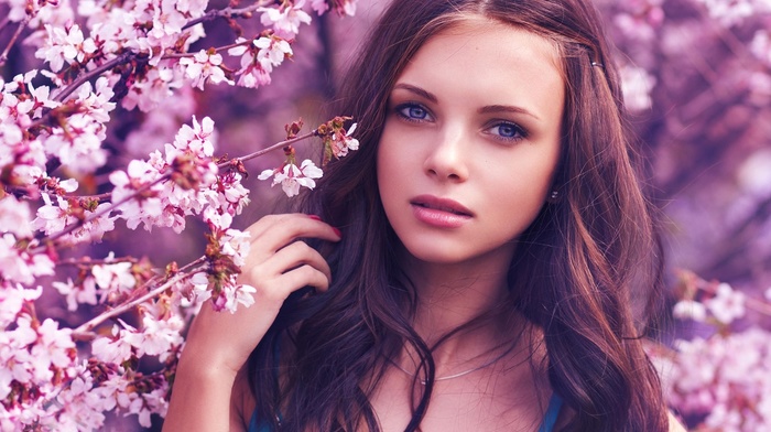 blue eyes, brunette, cherry blossom, girl, model, face