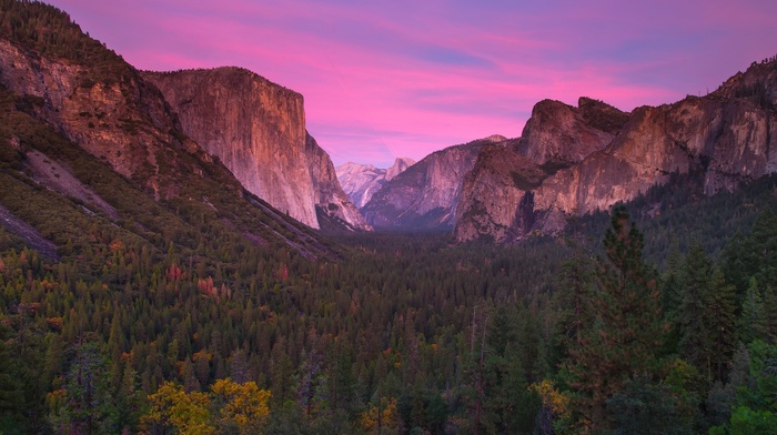 valley, landscape, Yosemite National Park