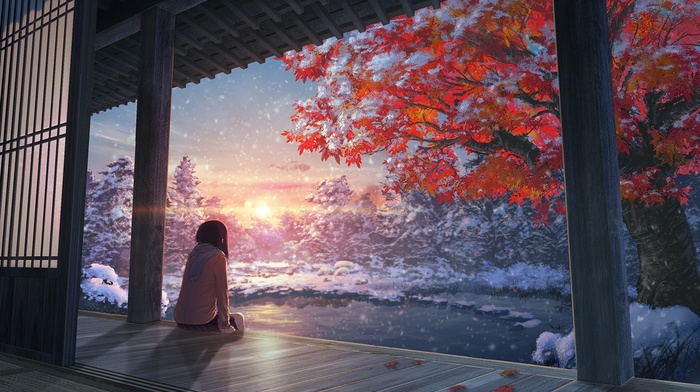 snow, Japanese maple, fall