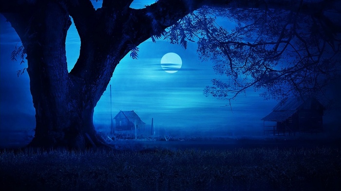 blue, landscape, hut, moon, field, mist, trees, night, grass, nature
