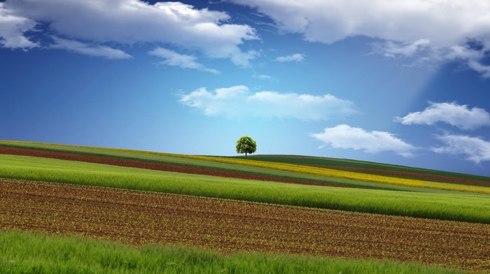 landscape, clouds, nature