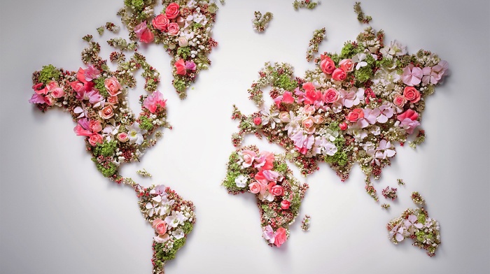 flowers, world map, world
