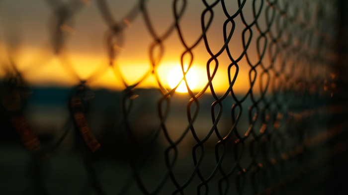 macro, photography, Sun, blurred, fence