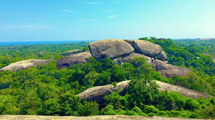 rock, forest, photography, trees, nature, Sri Lanka