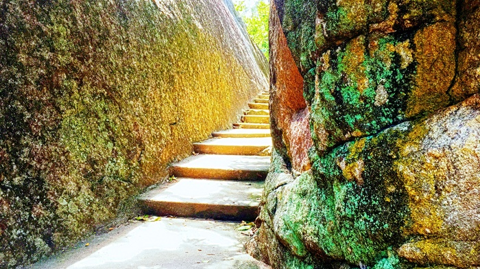 sea, Sri Lanka, trees, road, photography, rock stairs, nature