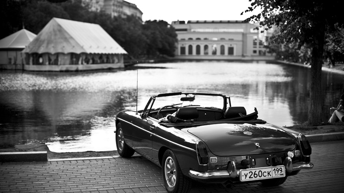 pond, water, photography, depth of field, monochrome, car