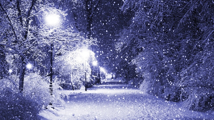 trees, park, lights, photography, winter, filter