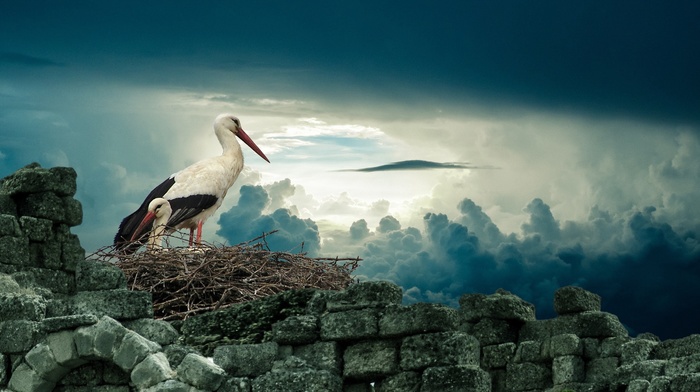 nature