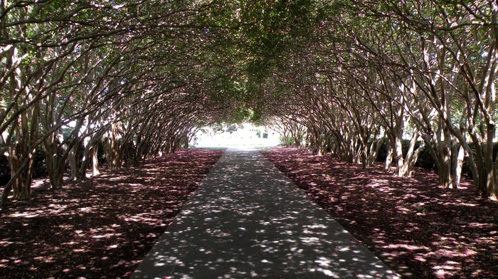 nature