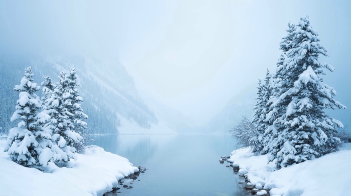 photography, winter, nature, lake, snow