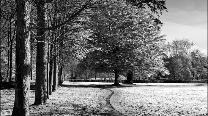 nature, photography