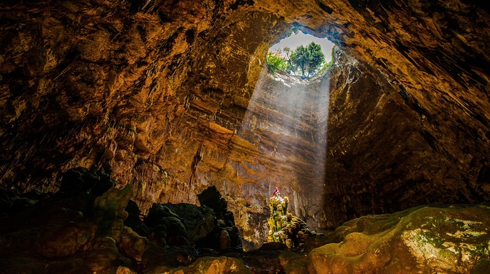 photography, nature