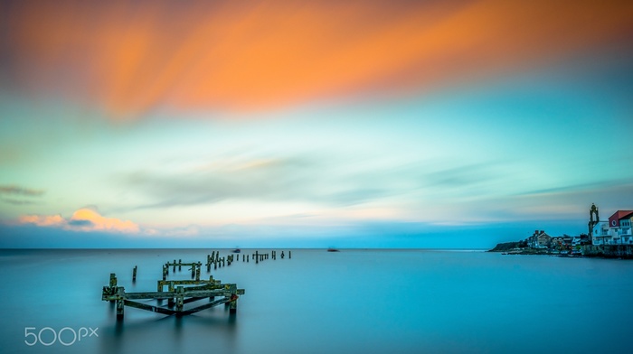 photography, nature