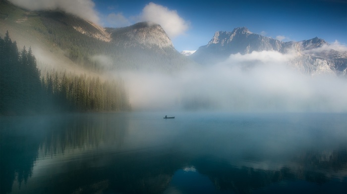 nature, photography