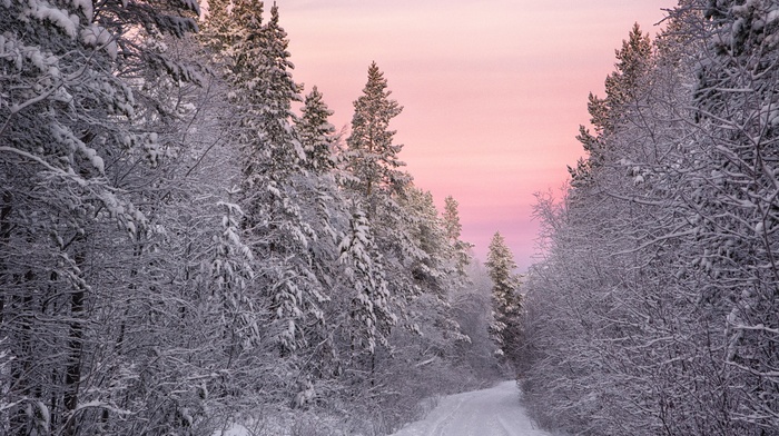 nature, photography
