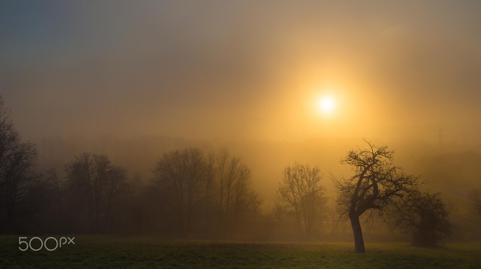 photography, nature