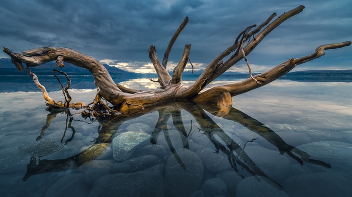 nature, photography