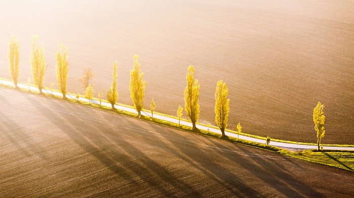 nature, photography