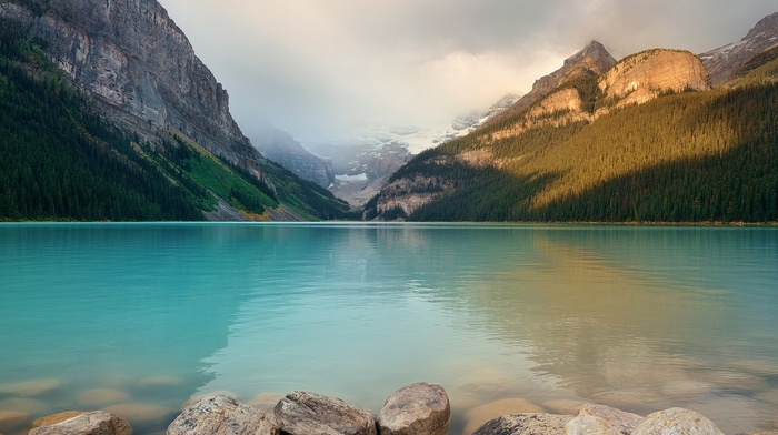 photography, nature