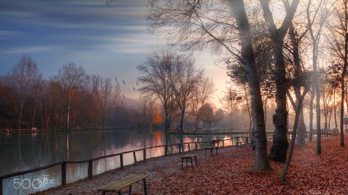 photography, nature