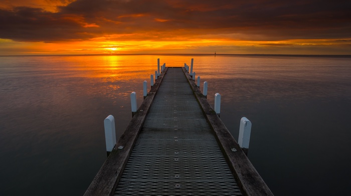 photography, nature