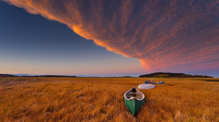 photography, nature
