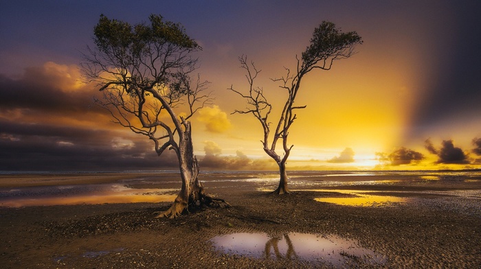 nature, photography