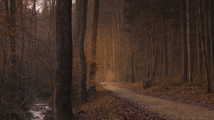 nature, photography