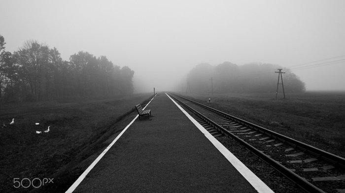 photography, nature