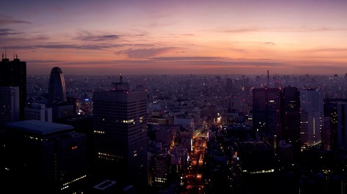 urban, photography, lights, city lights, street light, city, Tokyo, cityscape, dusk, street, building