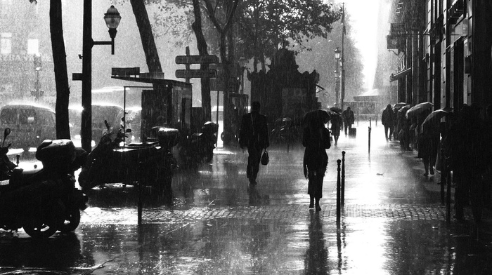 monochrome, street, rain, umbrella, Paris, building, urban, cityscape, photography, city