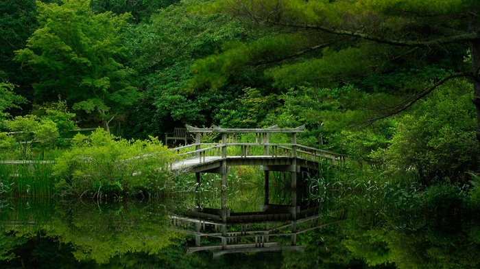 bridge, trees, nature