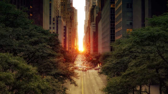 road, sunset, urban, cityscape, trees, landscape, photography, street, building, New York City, sky, city