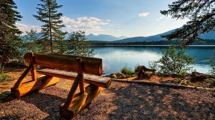 lake, trees, nature