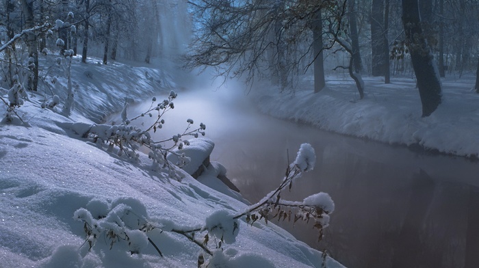 nature