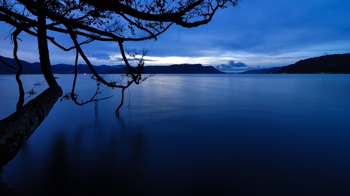 landscape, nature