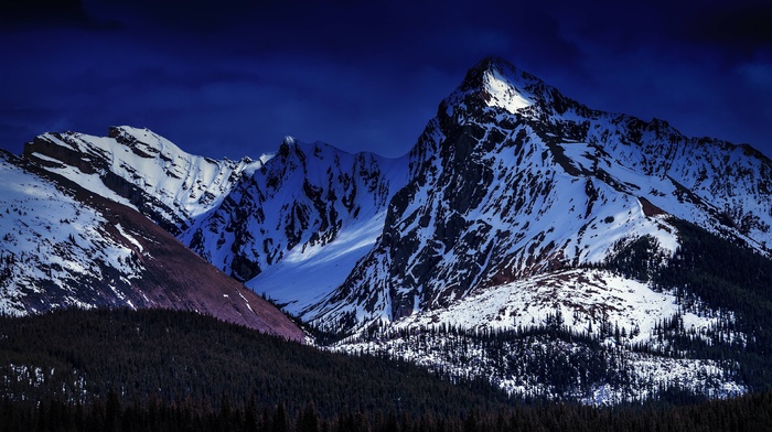 nature, landscape