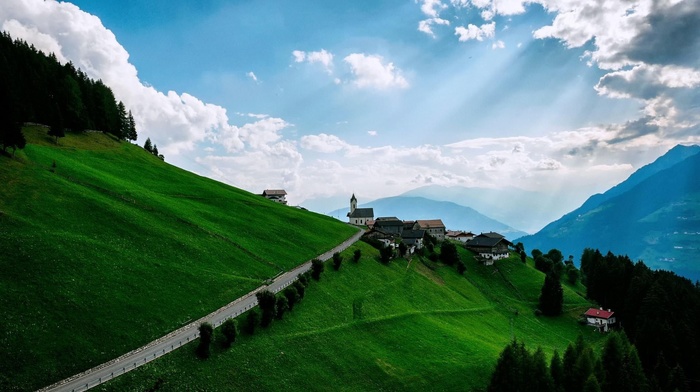 trees, landscape, clouds, mountains, nature