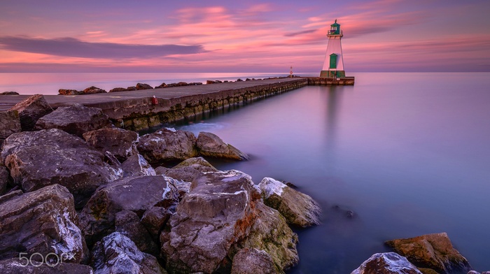 photography, nature