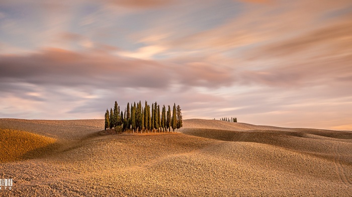 nature, photography
